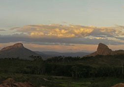 Serie: Organo-Máquinas